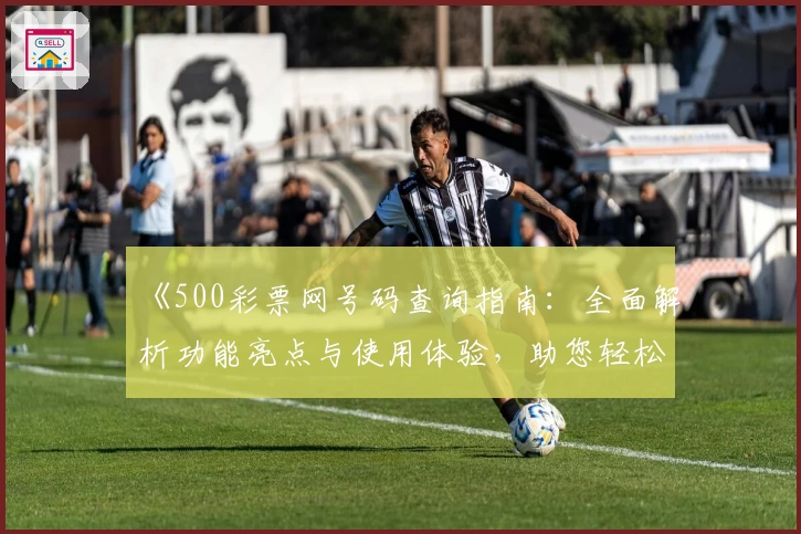 《500彩票网号码查询指南：全面解析功能亮点与使用体验，助您轻松掌握核心技巧》