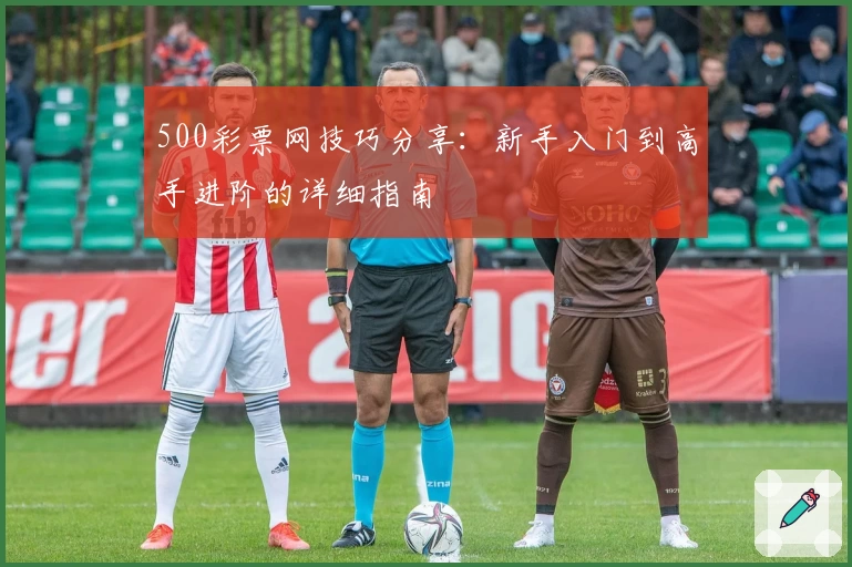 500彩票网技巧分享：新手入门到高手进阶的详细指南