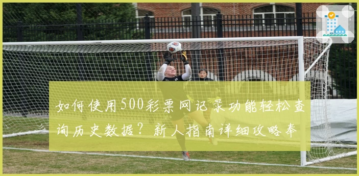 如何使用500彩票网记录功能轻松查询历史数据？新人指南详细攻略奉上