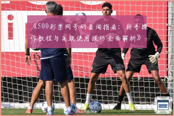 《500彩票网号码查询指南:新手操作教程与高效使用技巧全面解析》